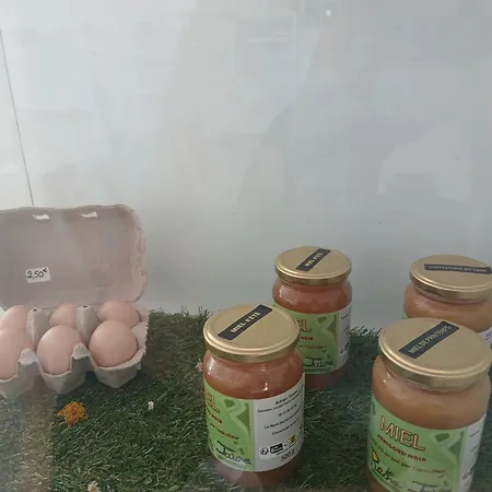 Séjour à la campagne Confort Beynac-et-Cazenac